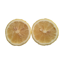 China professional Supplier Fresh Juicy Lemon with the best price